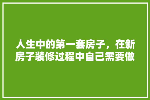 人生中的第一套房子，在新房子装修过程中自己需要做什么，装修房子自己能准备什么东西。 人生中的第一套房子，在新房子装修过程中自己需要做什么，装修房子自己能准备什么东西。 买房须知