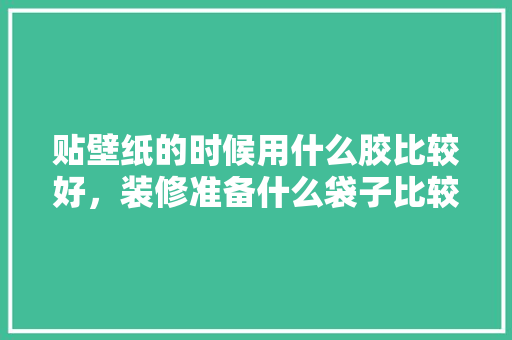 贴壁纸的时候用什么胶比较好，装修准备什么袋子比较好用。 贴壁纸的时候用什么胶比较好，装修准备什么袋子比较好用。 家居装饰