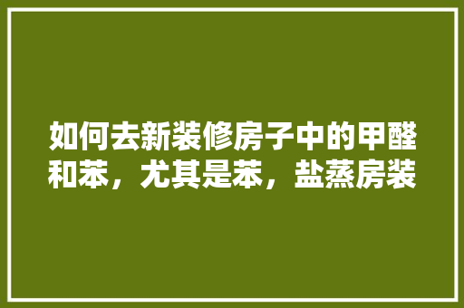 如何去新装修房子中的甲醛和苯，尤其是苯，盐蒸房装修需要准备什么东西。 如何去新装修房子中的甲醛和苯，尤其是苯，盐蒸房装修需要准备什么东西。 家居设计