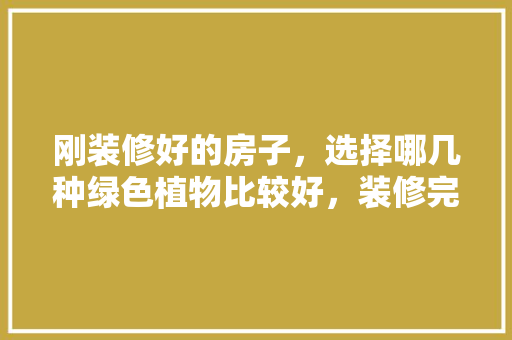 刚装修好的房子，选择哪几种绿色植物比较好，装修完准备什么绿植最好呢。 刚装修好的房子，选择哪几种绿色植物比较好，装修完准备什么绿植最好呢。 家居装饰