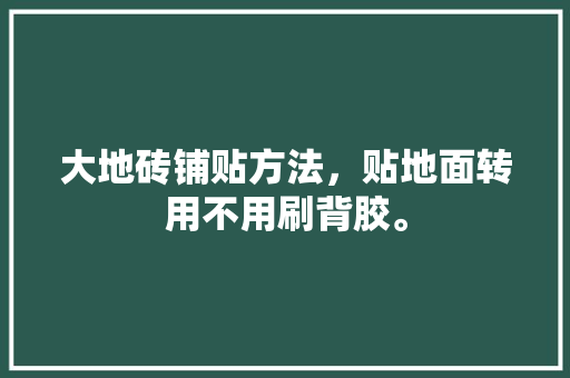 大地砖铺贴方法，贴地面转用不用刷背胶。 大地砖铺贴方法，贴地面转用不用刷背胶。 买房须知