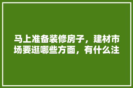 马上准备装修房子，建材市场要逛哪些方面，有什么注意事项，装修完准备什么东西好看呢。 马上准备装修房子，建材市场要逛哪些方面，有什么注意事项，装修完准备什么东西好看呢。 家居设计