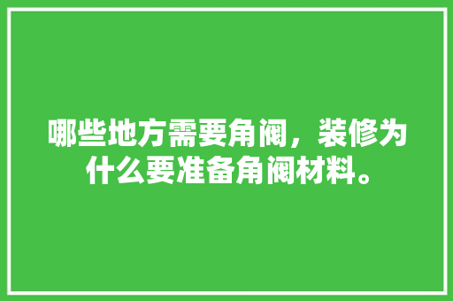 哪些地方需要角阀，装修为什么要准备角阀材料。 哪些地方需要角阀，装修为什么要准备角阀材料。 家居装饰