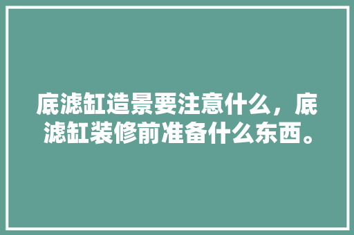 底滤缸造景要注意什么，底滤缸装修前准备什么东西。 底滤缸造景要注意什么，底滤缸装修前准备什么东西。 家居装饰