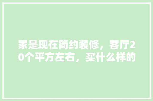 家是现在简约装修，客厅20个平方左右，买什么样的沙发更合适，客厅装修需要准备什么东西。 家是现在简约装修，客厅20个平方左右，买什么样的沙发更合适，客厅装修需要准备什么东西。 家居装饰