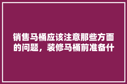 销售马桶应该注意那些方面的问题，装修马桶前准备什么物品好。 销售马桶应该注意那些方面的问题，装修马桶前准备什么物品好。 二手房