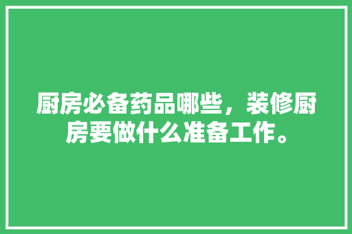 厨房必备药品哪些，装修厨房要做什么准备工作。 厨房必备药品哪些，装修厨房要做什么准备工作。 二手房
