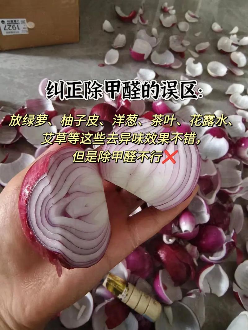 甲醛最怕的六种水果,装修需要准备什么水果呢。 买房须知 甲醛最怕的六种水果,装修需要准备什么水果呢。 甲醛最怕的六种水果,装修需要准备什么水果呢。 买房须知