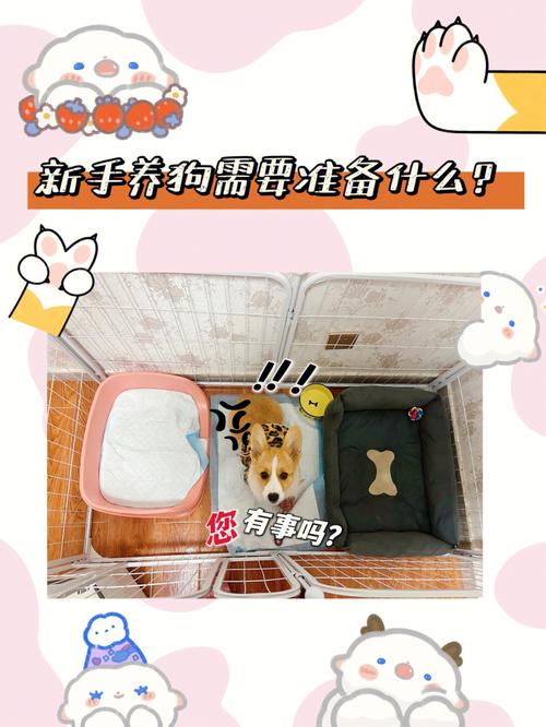 养狗之前,有什么东西是要准备的呢,装修半年前准备什么东西好。 装修知识 养狗之前,有什么东西是要准备的呢,装修半年前准备什么东西好。 养狗之前,有什么东西是要准备的呢,装修半年前准备什么东西好。 装修知识
