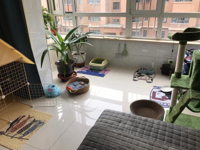住二手房会别扭吗为什么,住二手房会别扭吗为什么不好。 二手房 住二手房会别扭吗为什么,住二手房会别扭吗为什么不好。 住二手房会别扭吗为什么,住二手房会别扭吗为什么不好。 二手房