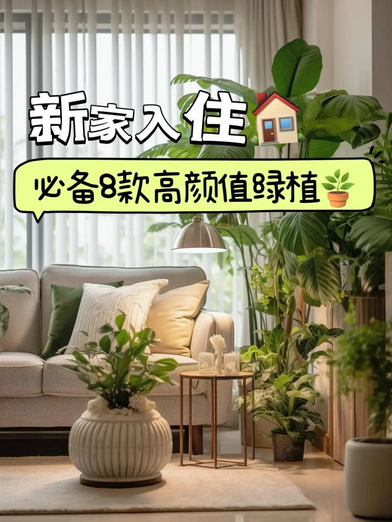 刚装修完房子,养什么花比较好,要多久可以入住,装修完准备什么绿植好看呢。 装修知识 刚装修完房子,养什么花比较好,要多久可以入住,装修完准备什么绿植好看呢。 刚装修完房子,养什么花比较好,要多久可以入住,装修完准备什么绿植好看呢。 装修知识