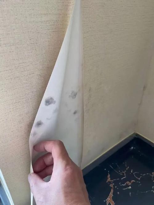 房子墙面是腻子好还是贴墙纸好,装修墙面准备些什么材料好。 买房须知 房子墙面是腻子好还是贴墙纸好,装修墙面准备些什么材料好。 房子墙面是腻子好还是贴墙纸好,装修墙面准备些什么材料好。 买房须知