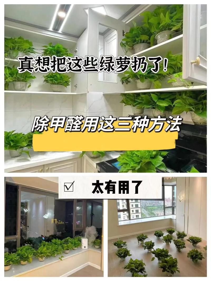 房子装修好了怎么测甲醛,装修用什么测甲醛最准备呢。 二手房 房子装修好了怎么测甲醛,装修用什么测甲醛最准备呢。 房子装修好了怎么测甲醛,装修用什么测甲醛最准备呢。 二手房
