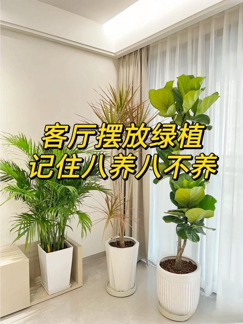 家里刚装修好,准备养些植物有好的推荐吗,新装修都要准备些什么呢图片。 买房须知 家里刚装修好,准备养些植物有好的推荐吗,新装修都要准备些什么呢图片。 家里刚装修好,准备养些植物有好的推荐吗,新装修都要准备些什么呢图片。 买房须知