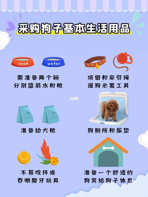 养狗之前,有什么东西是要准备的呢,装修材料开始前准备什么东西。 装修知识 养狗之前,有什么东西是要准备的呢,装修材料开始前准备什么东西。 养狗之前,有什么东西是要准备的呢,装修材料开始前准备什么东西。 装修知识