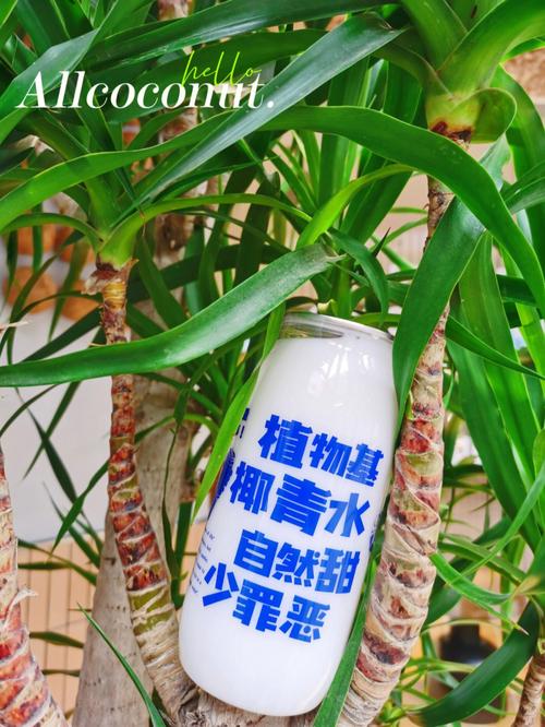 椰子水,绿色装修新风尚 二手房 椰子水,绿色装修新风尚 椰子水,绿色装修新风尚 二手房