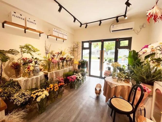 花店装修,材料选择与空间氛围的和谐交融 买房须知 花店装修,材料选择与空间氛围的和谐交融 花店装修,材料选择与空间氛围的和谐交融 买房须知