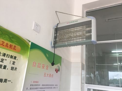 专业护航,共筑健康食堂_食堂装修白蚁预防攻略 装修知识 专业护航,共筑健康食堂_食堂装修白蚁预防攻略 专业护航,共筑健康食堂_食堂装修白蚁预防攻略 装修知识