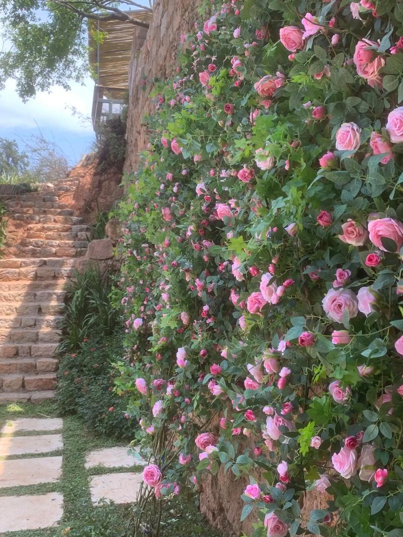 仿花墙装饰,艺术与生活的完美融合_仿花墙装饰 家居装饰 仿花墙装饰,艺术与生活的完美融合_仿花墙装饰 仿花墙装饰,艺术与生活的完美融合_仿花墙装饰 家居装饰