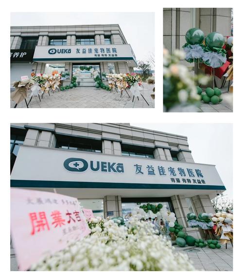 信益佳装饰,打造高品质家居,引领行业潮流_信益佳装饰 家居装饰 信益佳装饰,打造高品质家居,引领行业潮流_信益佳装饰 信益佳装饰,打造高品质家居,引领行业潮流_信益佳装饰 家居装饰