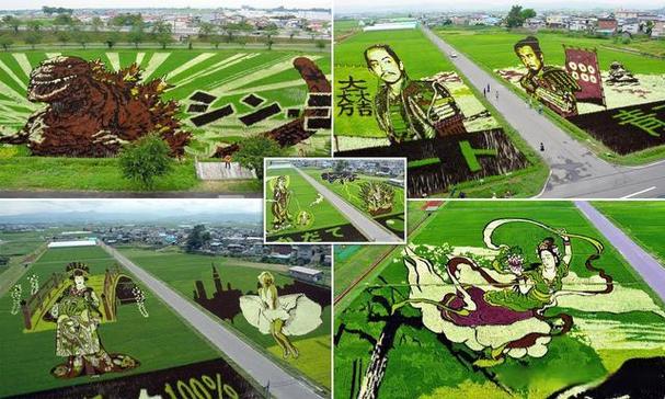 一方田地,千般风情_探索田地装饰的艺术魅力_一块田装饰 装修知识 一方田地,千般风情_探索田地装饰的艺术魅力_一块田装饰 一方田地,千般风情_探索田地装饰的艺术魅力_一块田装饰 装修知识